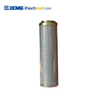 XCMG Construction Lorry Mounted Cranes Spare Parts Oil Filter*803168880 Low Price