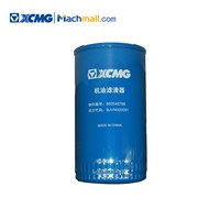 XCMG Small Knuckle Boom Cranes Spare Parts Oil Filter*860548788 Low Price for Sale