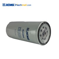 XCMG Telescopic Boom Crane Spare Parts Oil Filter Element*860126526 Hot for Sale