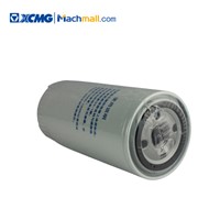 XCMG 25 Ton Mobile Crane Spare Parts Oil Filter Element VG61000070005*860126525 Price List