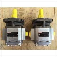 Rexroth Internal Gear Pump PGF2-22 016RE01VE4