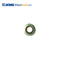 XCMG Authenticity Guaranteed Spare Parts Rim Nut M22*1.5 Class 10*800341023 for Crane LW250M