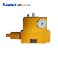 XCMG Official 25ton Crane Spare Parts Balancing Valve*803000300/803171807 Low Price for Sale