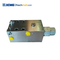 XCMG Genuine Crane Machine Kit Spare Parts Balancing Valves*803087155/803000115 Hot for Sale