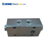 XCMG Spare Parts of Tower Crane Hydraulic Two-Way Lock*803000435/803000738 Hot for Sale