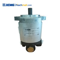 XCMG Material Handling Crane Equipment Spare Parts Steering Oil Pump 803006891