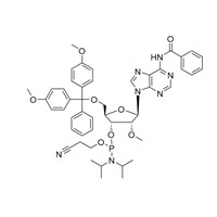 2'-OMe-A(Bz) N6-Benzoyl-5'-O-DMT-2'-O-Methyladenosine 3'-CE Phosphoramidite