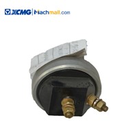 XCMG Drum Roller Compactor Spare Parts JN150 Brake Light Switch *803604504 Best Price for Sale