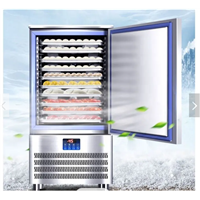 Individually Quick Frozen Commercial Shock Freezer / Blast Chiller / Air Blast Freezer
