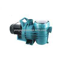 China High Speed 2&amp;quot; Powerful Water Circulation Large Steel Pump Swimming Pool Pump