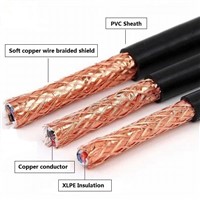 XLPE Insulated &amp;amp; PVC Sheathed Control Cable