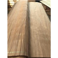 Rotary Cut PLB Veneer for Plywood