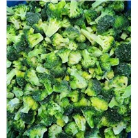 Frozen Vegetables IQF Mini Broccoli