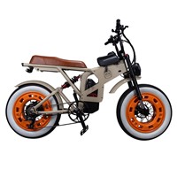 Good Selling 48V750W Motor 7 Speed Electric Bicycle with Disc Brake