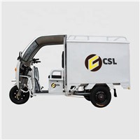 Cheap e-Trikes Adult Delivery Cargo Tricycle Enclosed Cabin Electric Cargo 3 Wheel