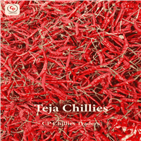 Teja Super Spicy Dry Hot-Red Chillies from Cp Chillies Traders