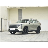 Hot Sales Cheap Price Suv 2024Haval H6 2.0T Made in China Good Price Haval H6 1.5t In Stock