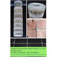 Field Fence/Wire Mesh Fence /Grassland Fence/Galvanized Iron Wire/Cattle Fence/