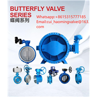 Fluorine Lined Manual Flange Butterfly Valve