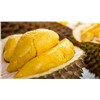 HIGH QUALITY FRESH DURIAN in VIETNAM COMPETITIVE PRICE 2024/Whatsapp +84 903047955
