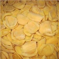 [FROZEN JACKFRUIT] HIGH QUALITY FROZEN JACKFRUIT GOOD PRICE 2024/ +84 903047955