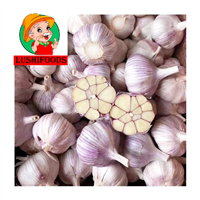 Fresh Garlic/Garlic Powder/Peeled Garlic