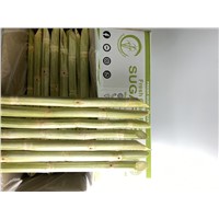 Fresh Sugarcane Wholesale 10kg Per Case Viet Goods Trade