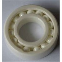 Large Ceramic Bearing for Food Machinery