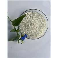 Rumen Protected Choline Chloride 25%, Feed Additive Rumen Bypass for Cow Sheep Goat Factory Livestock &amp;amp; Poultry