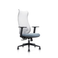 Hot Sell Mesh Ergonomic Office Managing Chair