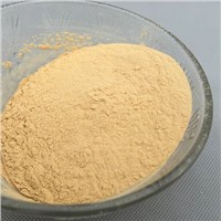 High Quality Corn Dextrin Powder