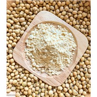 High Quality Soybean Milk Powder