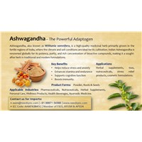 Ashwagandha Powder Medicinal Herb