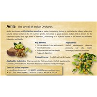 Amla Powder &amp;amp; Fruit Medicinal Herbs