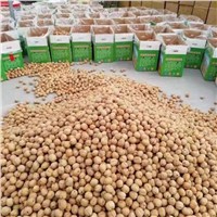 Original Top Quality Organic Health 185 Walnuts In Shell