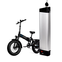 LiFePO4 Lithium Battery for 2 Wheels Electric Vehicle e-Bike Bicycle Scooter