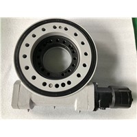 Popular Slew Drive Worm Gear for Truck Mounted Crane