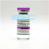 TE 300 ( Testosterone Enanthate ) (300mg/Ml, 10ml/Bottle) Injection