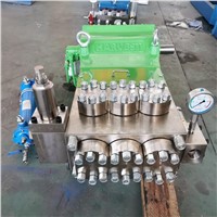 High Flow Low Pulsation Transfer Pump