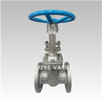 Stainless Steel Flanged Gate Valve