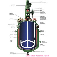 High Performance Glass Lined Reactor For Chemical Industrial