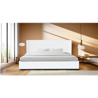 Good-Looking & Practical Princess Bed