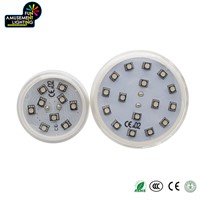 45MM 60MM E14 24V Auto 1-16 RGB LED Amusement Rides Light for Carnival Lighting