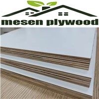 Glossy/Matt/Embossed/UV/PVC Melamine Faced Plywood Marine Plywood for Wooden Furniture Decoration