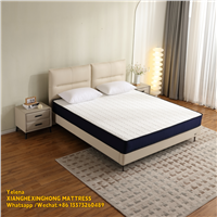 Spring Compressed Foam School Queen Gel Memory Foam Mattress King Size Mattress