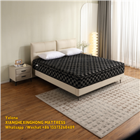 Memory Foam Full Hard Foam Single Mattress Hospital Mattress Premium Quality Hotel Fi