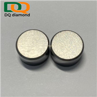 Polycrystalline Diamond Compact PDC Bits for Oil & Gas Drilling Super High Wear Resistance 1308 1313 1613 1916 1008