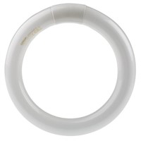 22 W Circular Fluorescent Tube, 216mm diameter , 4000K, Cool White