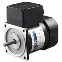 DKM Reversible Induction AC Motor, 4 Pole