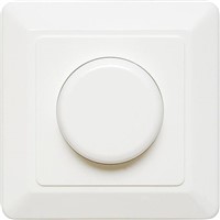 2 Way 1 Gang Dimmer Switch, 85W, 230 V